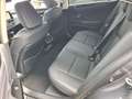 Lexus ES 300 Lexus ES 300h Business Line Grau - thumbnail 10