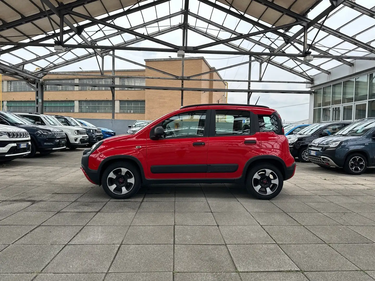 Fiat Panda 1.0 70cv S&S Hybrid E6d-T City Cross Rosso - 2