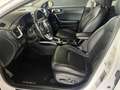 Kia Ceed / cee'd Sportswagon PHEV Platinum Edition LED Temp Klimasi Weiß - thumbnail 10