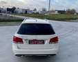 Mercedes-Benz E 250 E 250 T CDI 4Matic 7G-TRONIC Wit - thumbnail 7