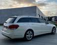 Mercedes-Benz E 250 E 250 T CDI 4Matic 7G-TRONIC Wit - thumbnail 9
