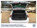 Volkswagen Tiguan 2.0 TSI IQ.DRIVE 4Motion Weiß - thumbnail 15