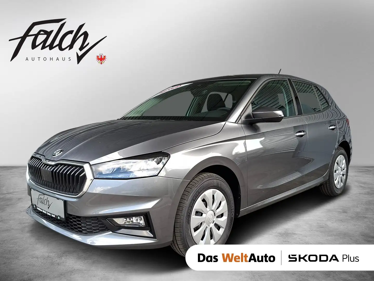 Skoda Fabia Essence Grau - 1