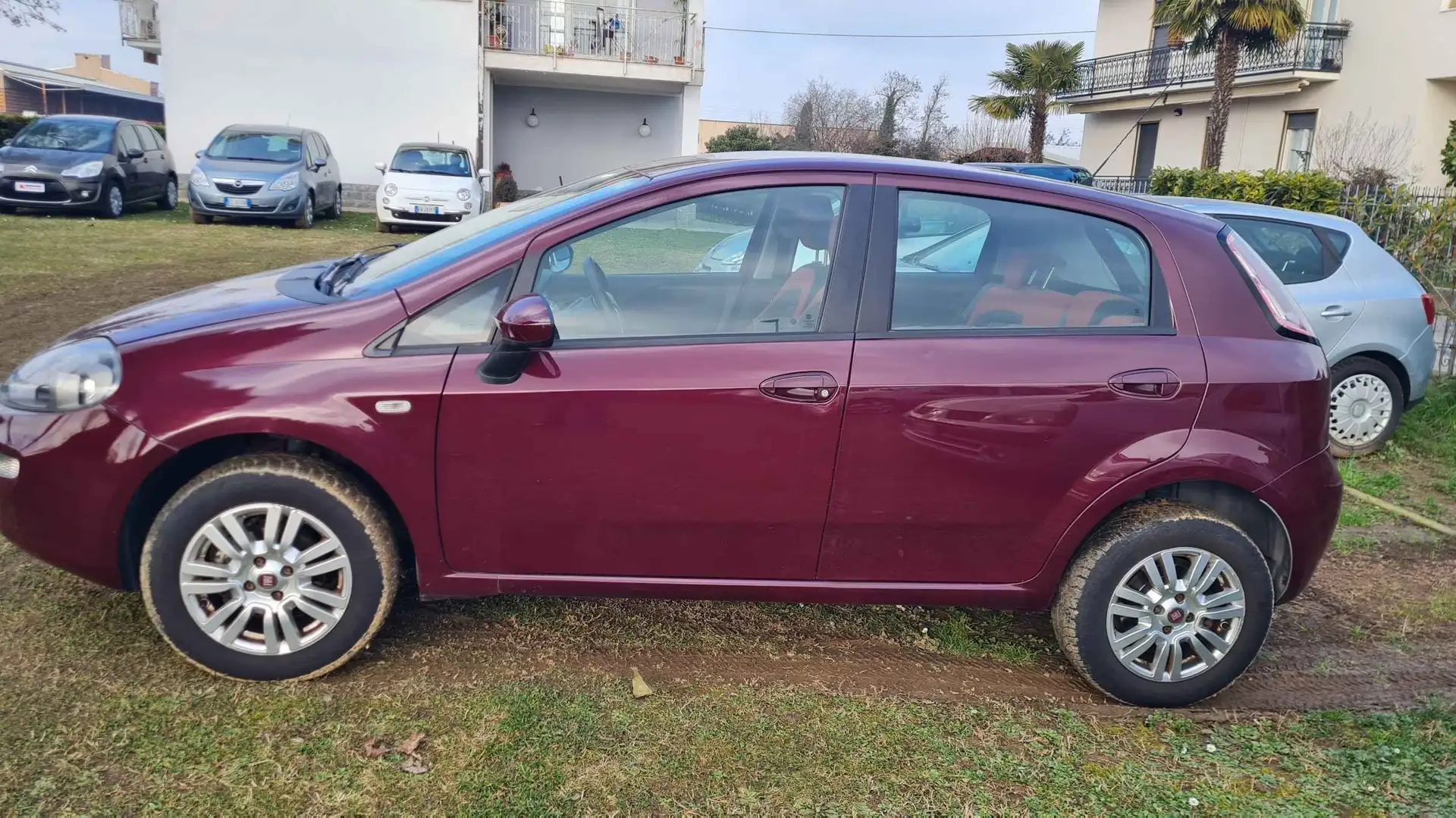 Fiat Punto 5p 1.4 natural Metano 70cv Rosso - 2