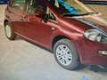 Fiat Punto 5p 1.4 natural Metano 70cv Rosso - thumbnail 5