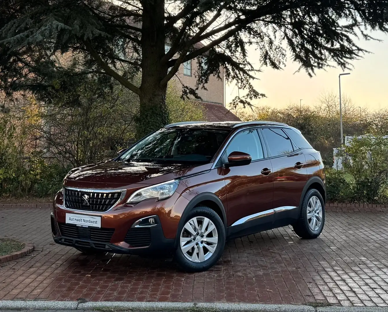 Peugeot 3008 Active|LED TFL|Navi|Touch|PDC|AppleAndroid! Brun - 1