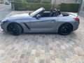BMW Z4 sDrive20i Aut. Mpack Grigio - thumbnail 2