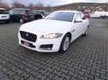 Jaguar XF Pure AUTOMATIK+Standhzg+Klima+SHZ+Navi+Cam+1. Hand Blanc - thumbnail 6