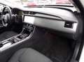 Jaguar XF Pure AUTOMATIK+Standhzg+Klima+SHZ+Navi+Cam+1. Hand Blanc - thumbnail 22