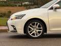 Lexus CT 200h Sport Edition Blanco - thumbnail 7