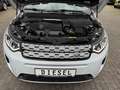 Land Rover Discovery Sport DISCOVERY SPORT 2.0D SE 4WD Auto. LEDER PANO NAV Blanc - thumbnail 35