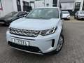 Land Rover Discovery Sport DISCOVERY SPORT 2.0D SE 4WD Auto. LEDER PANO NAV Blanc - thumbnail 13