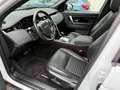 Land Rover Discovery Sport DISCOVERY SPORT 2.0D SE 4WD Auto. LEDER PANO NAV Blanc - thumbnail 21