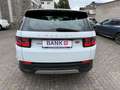Land Rover Discovery Sport DISCOVERY SPORT 2.0D SE 4WD Auto. LEDER PANO NAV Blanc - thumbnail 5