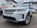 Land Rover Discovery Sport DISCOVERY SPORT 2.0D SE 4WD Auto. LEDER PANO NAV Blanc - thumbnail 15