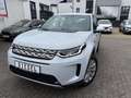 Land Rover Discovery Sport DISCOVERY SPORT 2.0D SE 4WD Auto. LEDER PANO NAV Blanc - thumbnail 8
