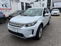 Land Rover Discovery Sport DISCOVERY SPORT 2.0D SE 4WD Auto. LEDER PANO NAV Blanc - thumbnail 6