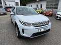 Land Rover Discovery Sport DISCOVERY SPORT 2.0D SE 4WD Auto. LEDER PANO NAV Blanc - thumbnail 4