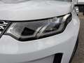 Land Rover Discovery Sport DISCOVERY SPORT 2.0D SE 4WD Auto. LEDER PANO NAV Blanc - thumbnail 29