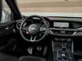 Alfa Romeo Stelvio 2.9 V6 AWD Quadrifoglio | Panoramadak | Camera | H Azul - thumbnail 10