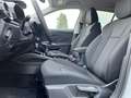 Skoda Fabia Tour 1,0 TSI DSG Lodge|Navi|ACC|beh. WSS Weiß - thumbnail 10