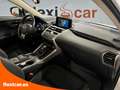 Lexus NX 300h 2.5 Business 2WD - thumbnail 18
