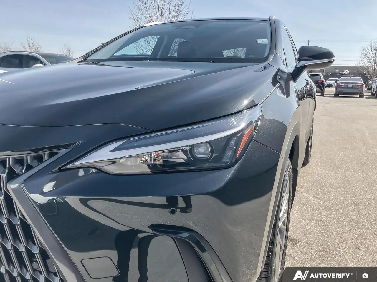 Lexus NX снимка Lexus NX