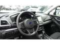 Subaru Forester Active 2.0ie Mild-Hybrid Kamera Apple CarPlay LED Szürke - thumbnail 11