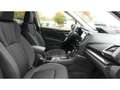Subaru Forester Active 2.0ie Mild-Hybrid Kamera Apple CarPlay LED Grigio - thumbnail 27