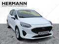 Ford Fiesta 1.0 EcoBoost M-Hybrid Titanium *SYNC*FLA Weiß - thumbnail 6