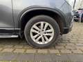 SsangYong Musso Musso 4WD Autm. Sapphire, AHK, Hardtop, Garantie Grijs - thumbnail 6