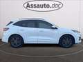 Ford Kuga 2.5 phev ST-Line X 2wd 225cv cvt Blanc - thumbnail 8
