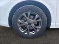 Ford Kuga 2.5 phev ST-Line X 2wd 225cv cvt Blanc - thumbnail 14