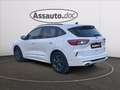 Ford Kuga 2.5 phev ST-Line X 2wd 225cv cvt Blanc - thumbnail 5