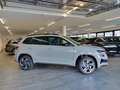 Skoda Karoq 1.5 TSI DSG Sportline Pano/AHK/Navi/EasyO/ACC/Kam Grau - thumbnail 3
