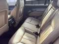 Land Rover Range Rover Sport D250 SE NEUES MODELL Bluetooth Grün - thumbnail 12