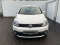 Volkswagen Cross Golf Golf Plus CrossGolf 1.4 TSI DSG *Navi*Xenon*SHZ* Bianco - thumbnail 2