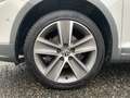 Volkswagen Cross Golf Golf Plus CrossGolf 1.4 TSI DSG *Navi*Xenon*SHZ* Bianco - thumbnail 14