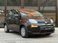 Fiat Panda 1.0 firefly hybrid "PREZZO REALE NON VINCOLATO" Noir - thumbnail 1
