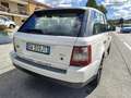 Land Rover Range Rover Sport Range Rover Sport I 2005 3.6 tdV8 HSE auto Bianco - thumbnail 4