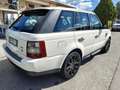 Land Rover Range Rover Sport Range Rover Sport I 2005 3.6 tdV8 HSE auto Bianco - thumbnail 3