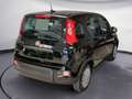 Fiat Panda 1.0 70cv Hybrid PANDA crna - thumbnail 6