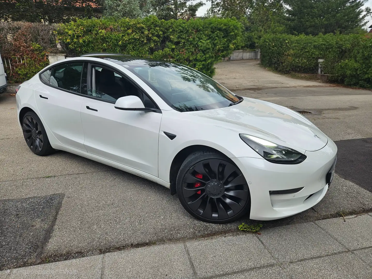 Tesla Model 3 Model 3 Performance AWD Weiß - 1