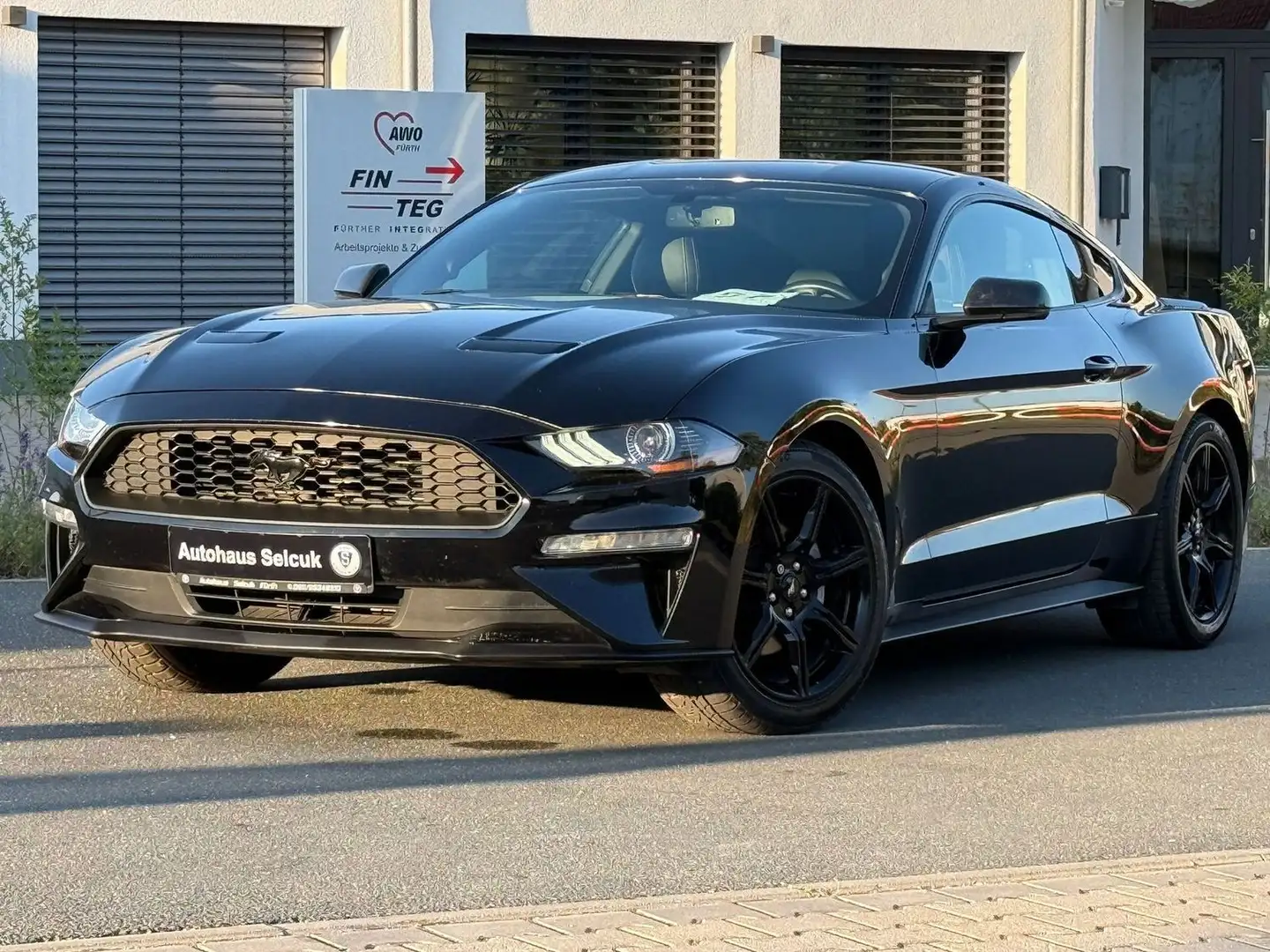 Ford Mustang 2.3 Ecoboost *19-zoll*Kamera*Leder* Schwarz - 1