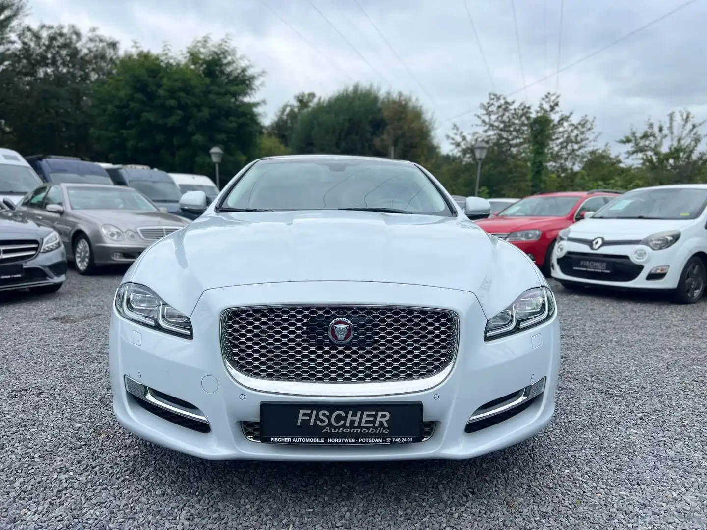 Jaguar XJ 3.0 Luxury+NAVI+LED+LEDER+PANO+SOUND+ Weiß - 2