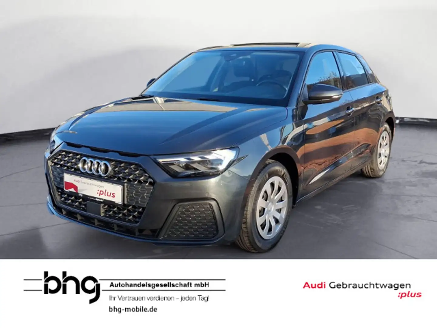 Audi A1 25 TFSI 70(95) kW(PS) Kamera Grau - 1