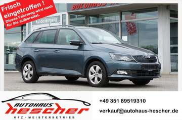 Combi 1.2 TSI DSG Style *PDC*SITZHZG*