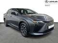 Lexus RZ AWD Executive Grau - thumbnail 15