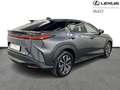 Lexus RZ AWD Executive Grau - thumbnail 14