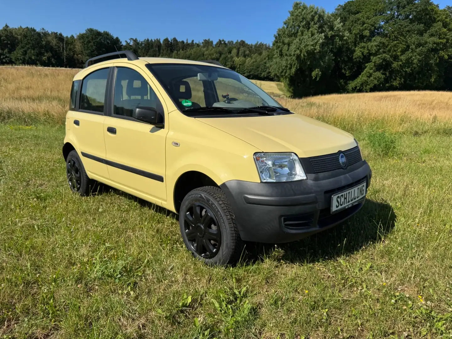Fiat Panda 1.2 8V Trekking 4X4 ALLRAD orig. 58.400km! Geel - 2